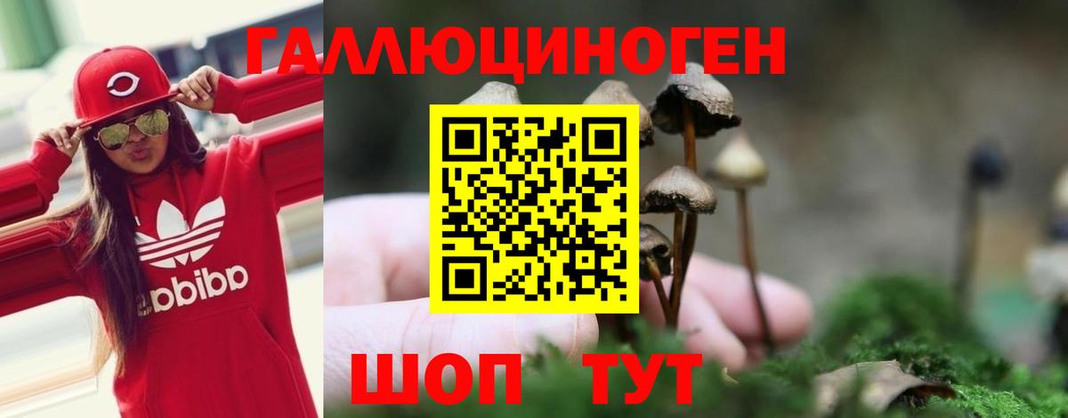 Псилоцибиновые грибы прущие грибы  Псилоцибиновые грибы Cubensis  Вход с VPN  купить наркотик  Туапсе 